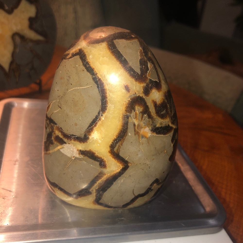 DRAGON SEPTARIAN FREE FORM